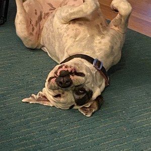 Meet your Posher, John